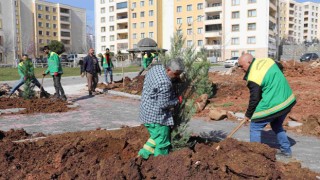 Seyrantepe’de 21 bin metrekarelik yeşil alan için çalışmalar sürüyor