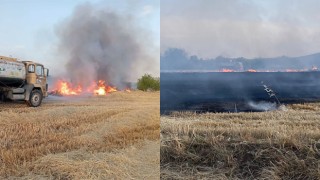 Bozova’da anız yangını