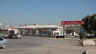 Şanlıurfa’da otomobilin çarptığı çoban hayatını kaybetti