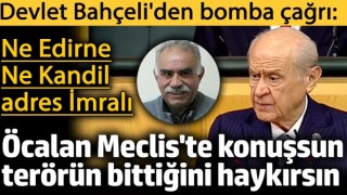 MHP Genel Başkanı Devlet Bahçeli'den Öcalan'a ikinci çağrı: Gelsin Meclis'te konuşsun