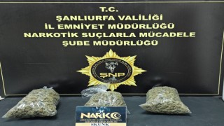 Şanlıurfa’da 2 kilo 950 gram skunk maddesi ele geçirildi