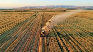 Tarım ve Orman Bakanlığından “33 soruda planlı üretim” rehberi