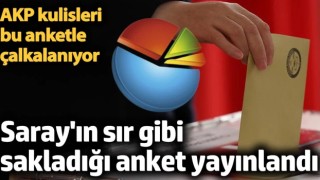 AKP kulisleri bu anketle çalkalanıyor! Saray'ın sır gibi sakladığı anket yayınlandı