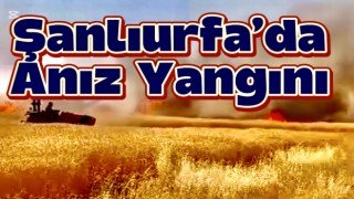 Şanlıurfa’da Yangın: Elektrik Telleri Yine Felakete Neden Oldu
