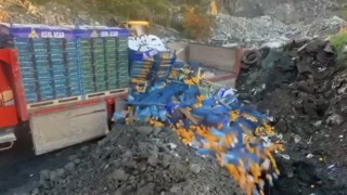 Sarp Sınır Kapısı’nda 6 Ton Mandalina İmha Edildi