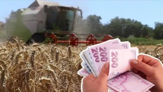 Tarım Bakanlığı Açıkladı: 331 Milyon Liralık Destek Çiftçilerin Hesaplarına Yatırıldı