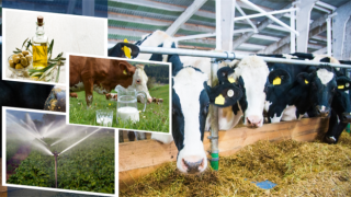 Çiftçilere 2 Milyar 5 Milyon Liralık Destekleme Ödemesi Yapılıyor