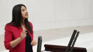 Kuraklık Şanlıurfa’da Çiftçiyi Zorladı: Vekil Ayan’dan Soru Önergesi