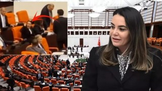 TBMM’de Bütçe Görüşmelerinde Sert Tartışma: