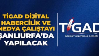 TİGAD Dijital Habercilik ve Medya Çalıştayı Şanlıurfa’da Düzenlenecek